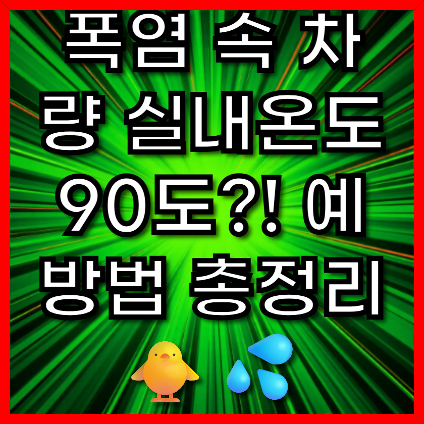 폭염 속 차량 실내온도 90도?! 예방법 총정리 🐥💦