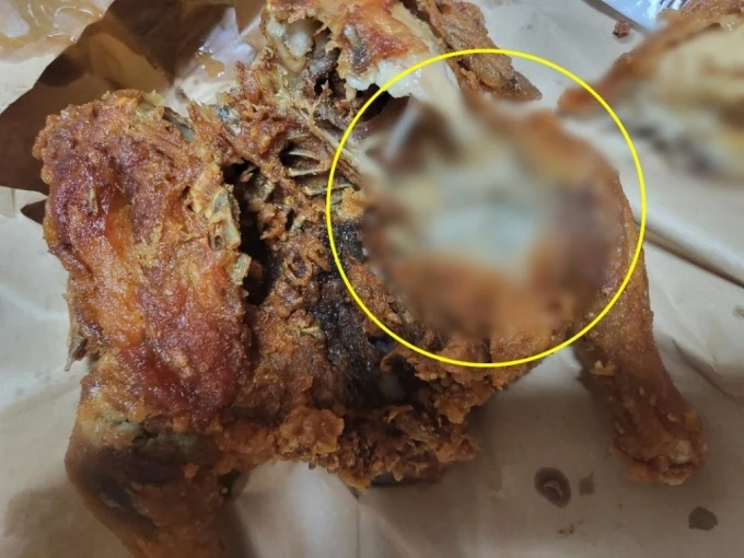 통닭에 앉은 파리 때문?…'구더기 통닭' 유력한 두가지 시나리오
