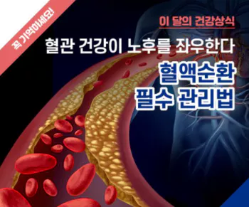 혈관건강3