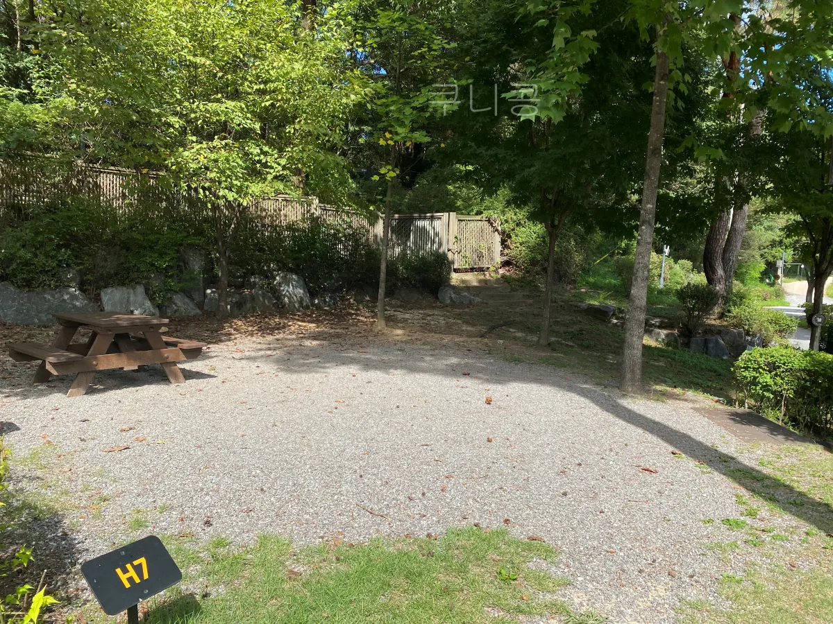 서울근교-당일캠핑-피크닉-가능한-초안산캠핑장-사이트-총정리(주차,통로위치-등)