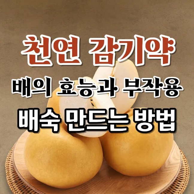 배-효능-부작용-천연-감기약-만드는-방법