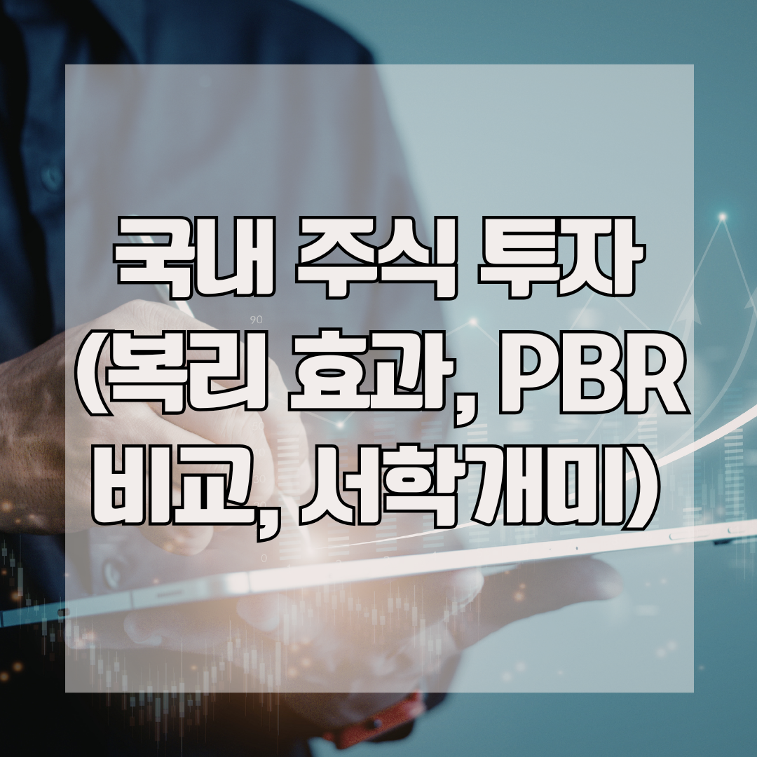 국내 주식 투자 (복리 효과, PBR 비교, 서학개미)