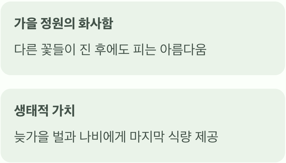 그럼에도 불구하고, 사랑할 수밖에 없는 매력