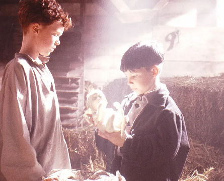 더 리플랙팅 스킨