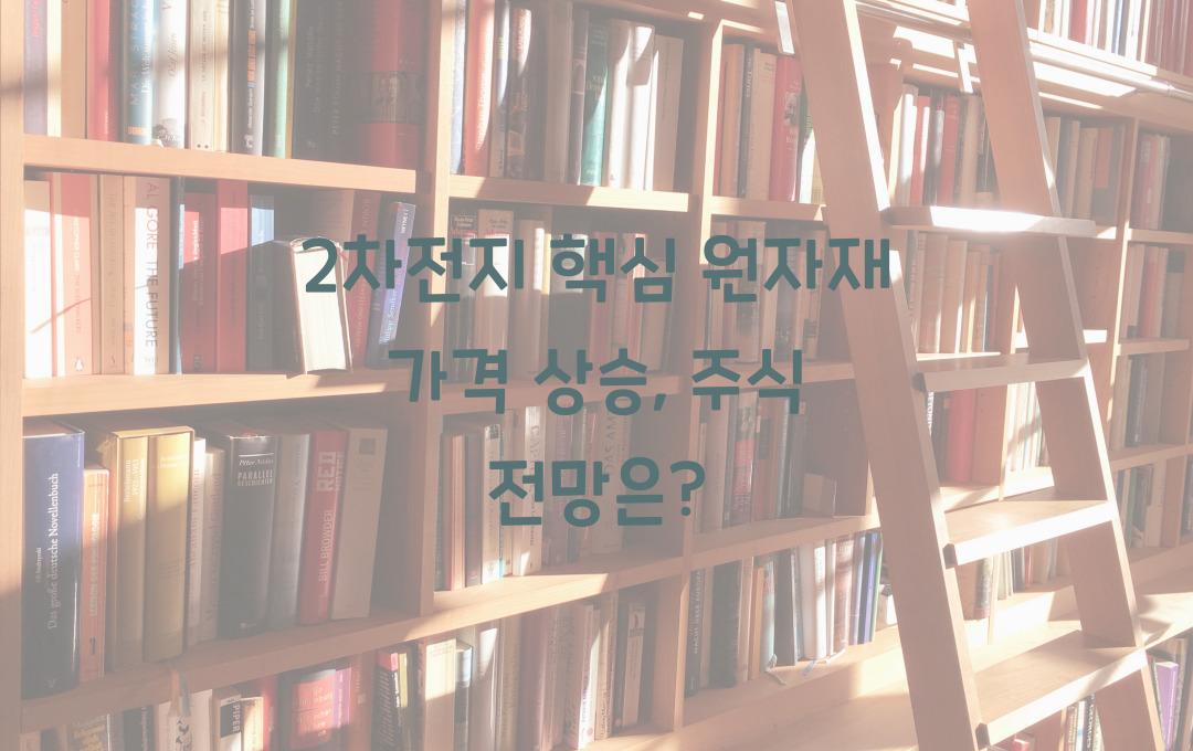 2차전지 핵심 원자재(니켈·코발트·리튬) 가격 상승, 관련주 전망