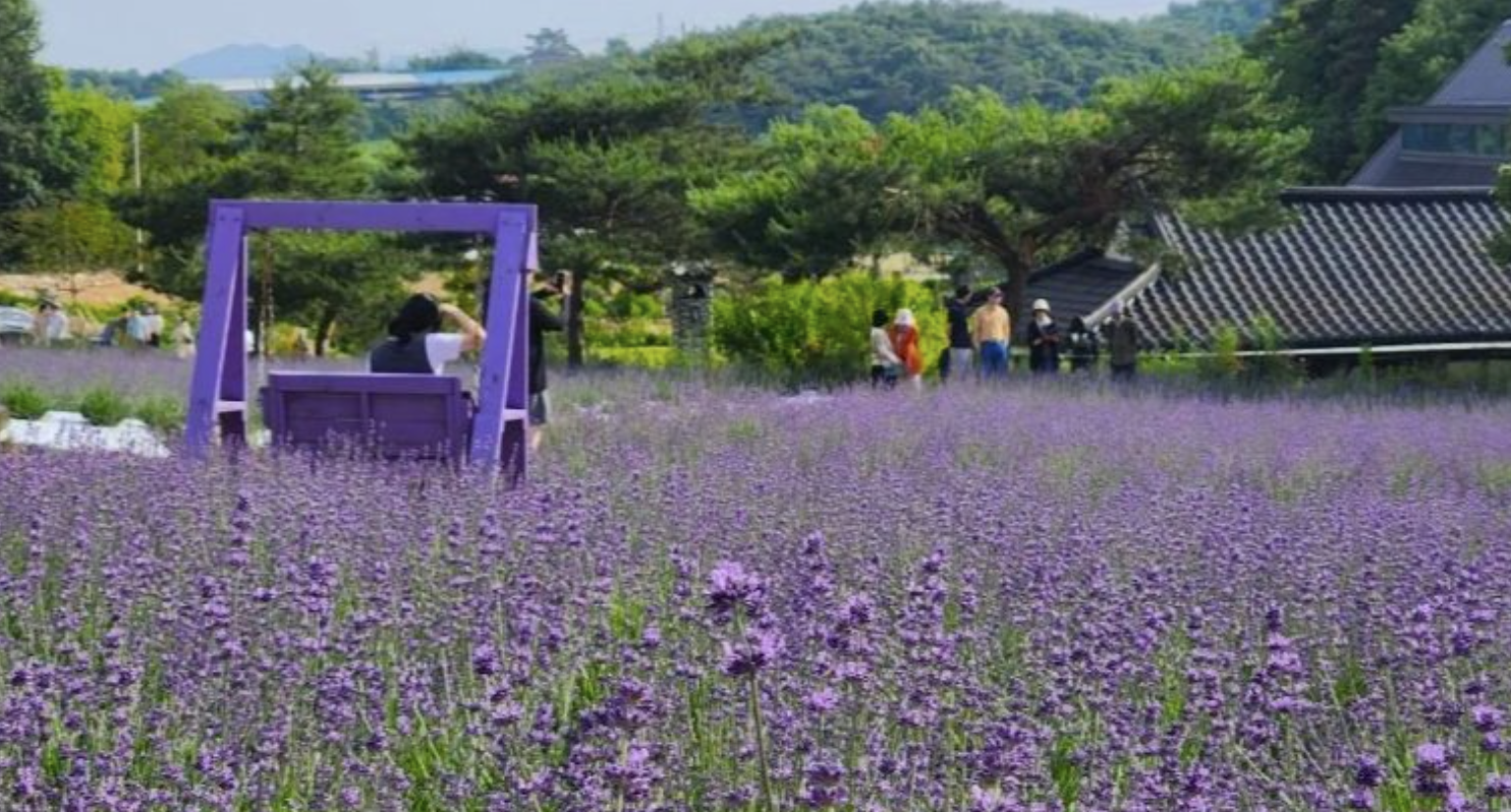 인생샷 명소와 포토존 완벽 가이드