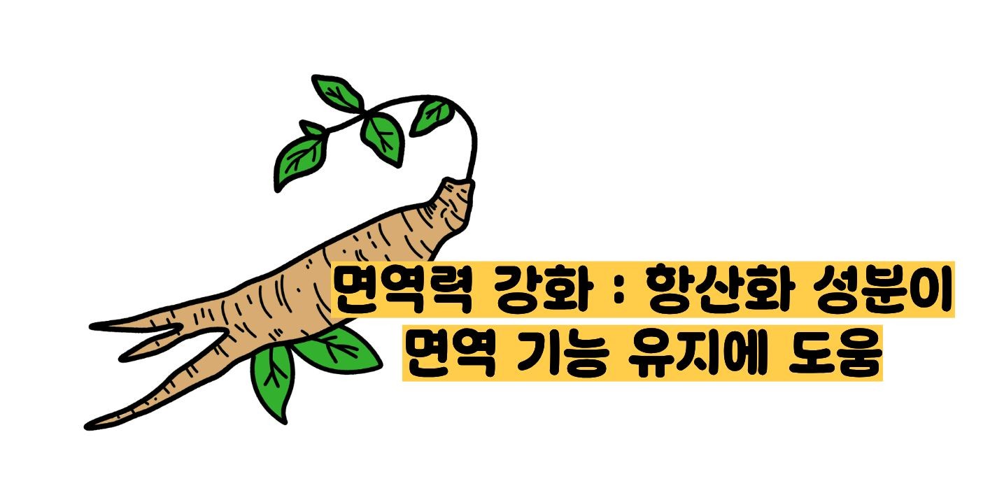 도라지청의 효능