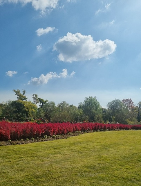 2025 순천만 국가정원 순천여행 맛집 현지인 추천 맛집 순천만 숙박
