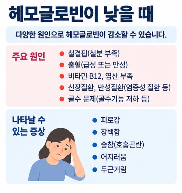 헤모글로빈이 낮을 때 철결핍 출혈 비타민 부족 신장질환 만성질환 등 가능한 원인을 정리한 이미지