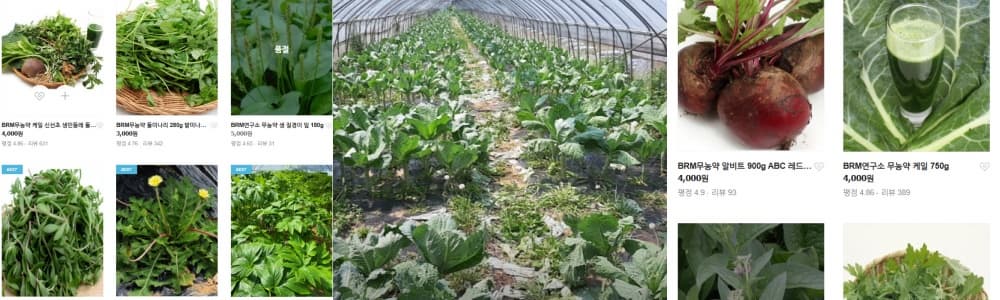 생생정보통 오늘방송(3월 26일) 맛집 월매집,건강한가족농원