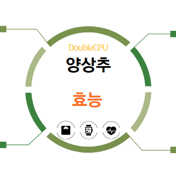 양상추 효능