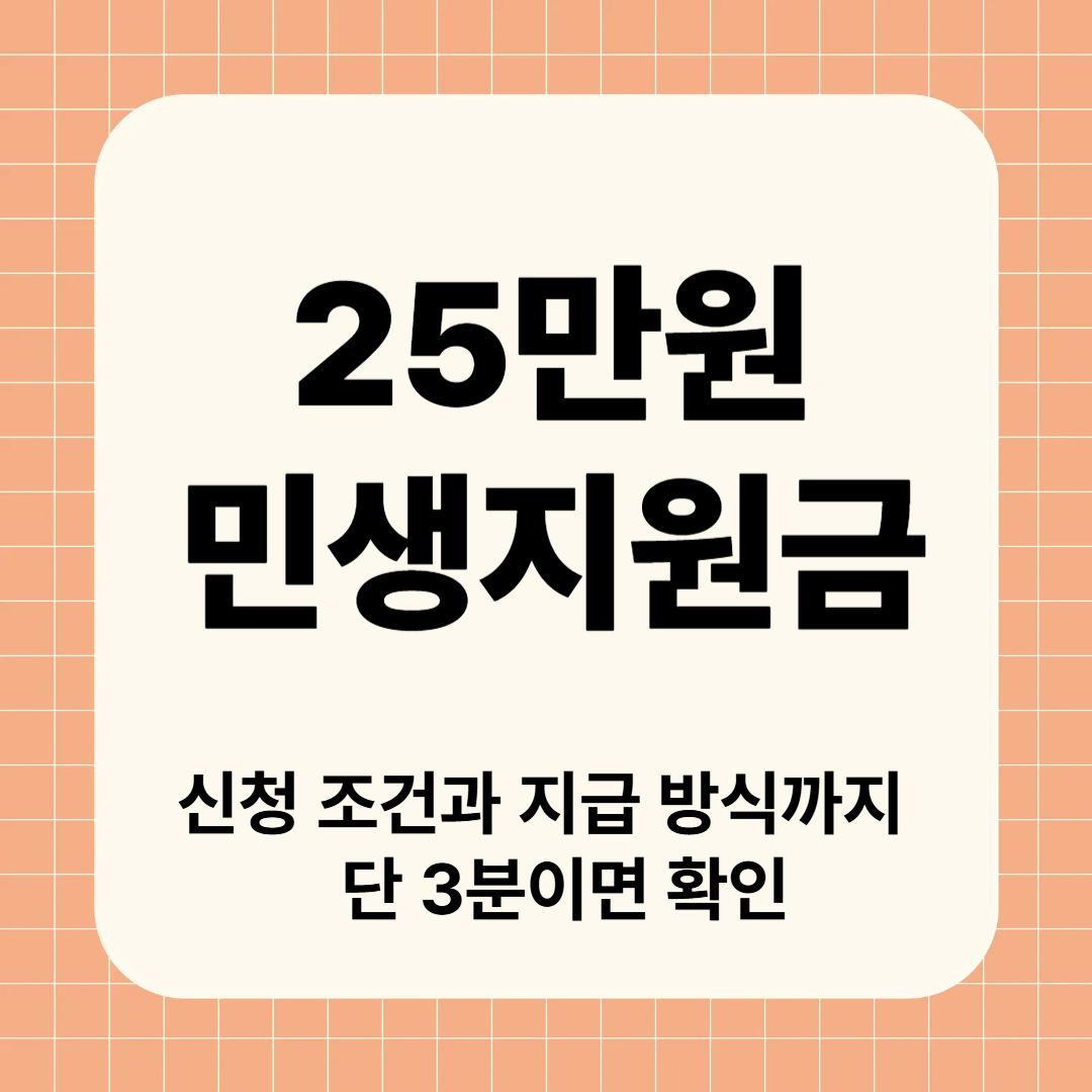 2025년 추경 통과 여부에 따른 민생지원금 정책 변화 예측