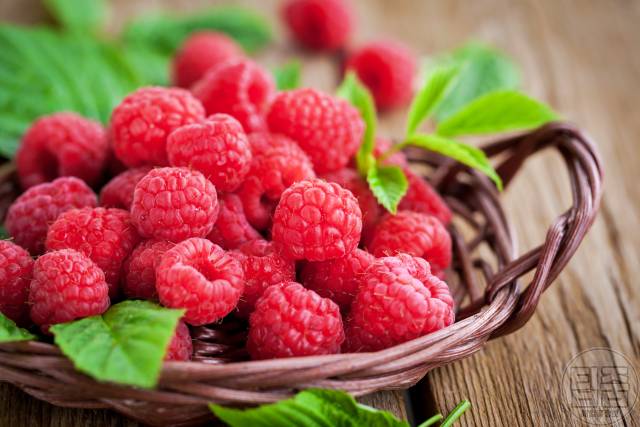 신장에 좋은 음식,신장 기능 저하에 좋은 과일 라즈베리 효능