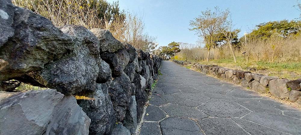 제주 서귀포 숲길