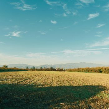 강원도 정선군 결혼지원금 500만원