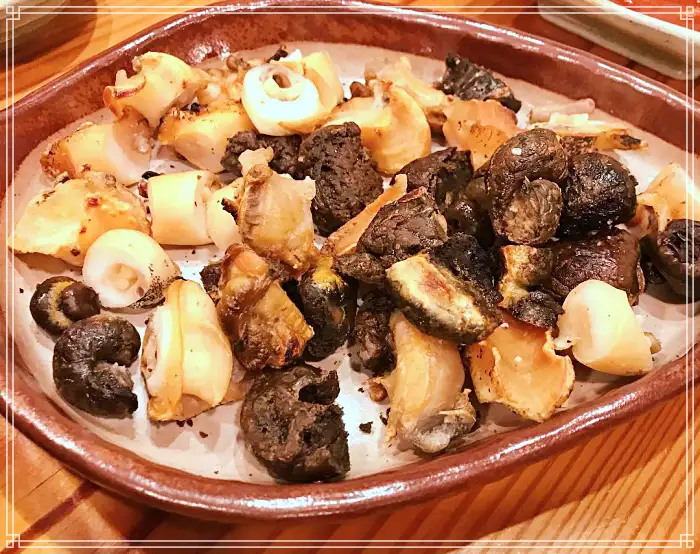 TBJ 생방송투데이 포항 구룡포시장 전국 택배 주문 백고둥구이 맛집