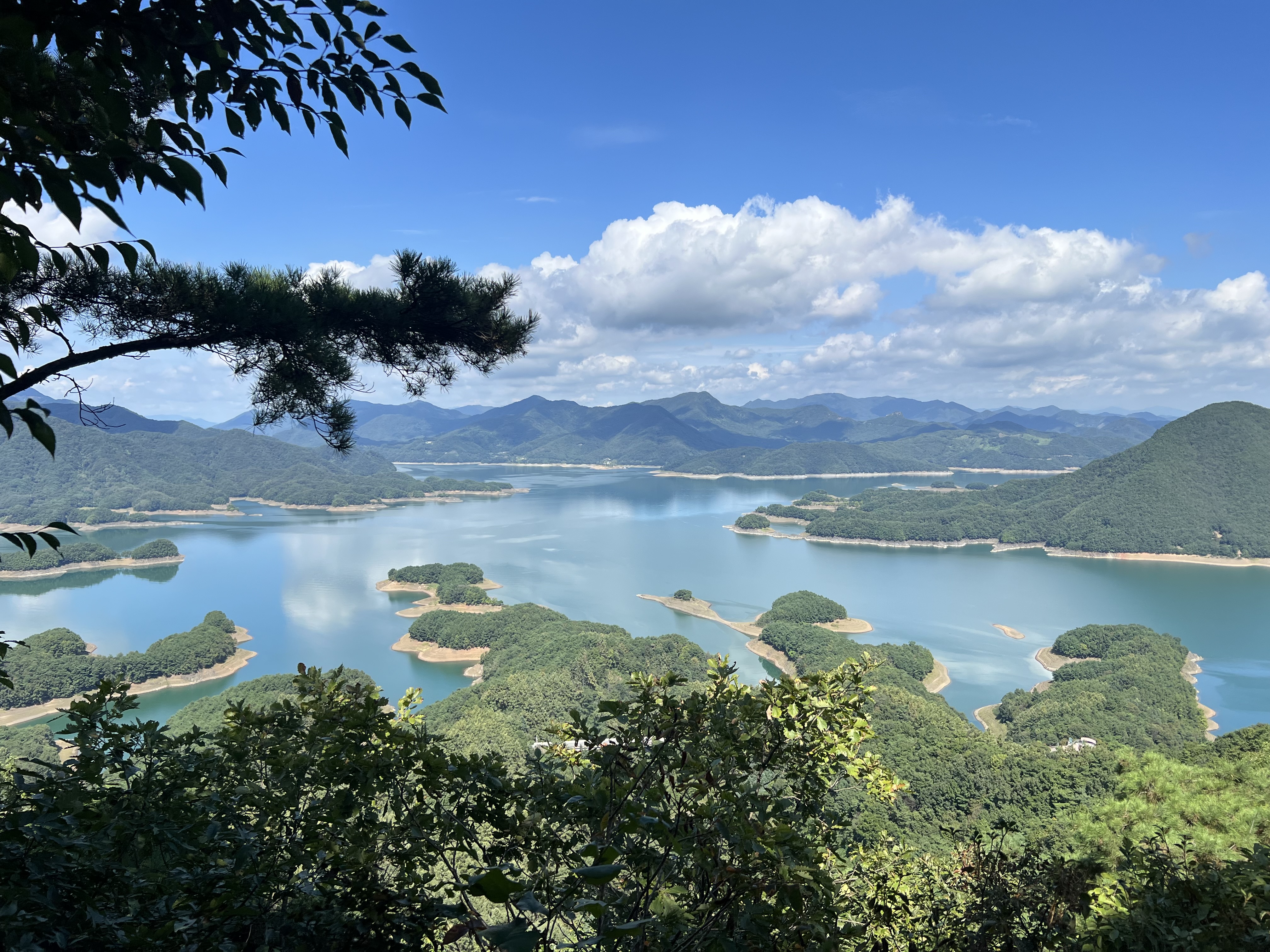 충주호 악어섬