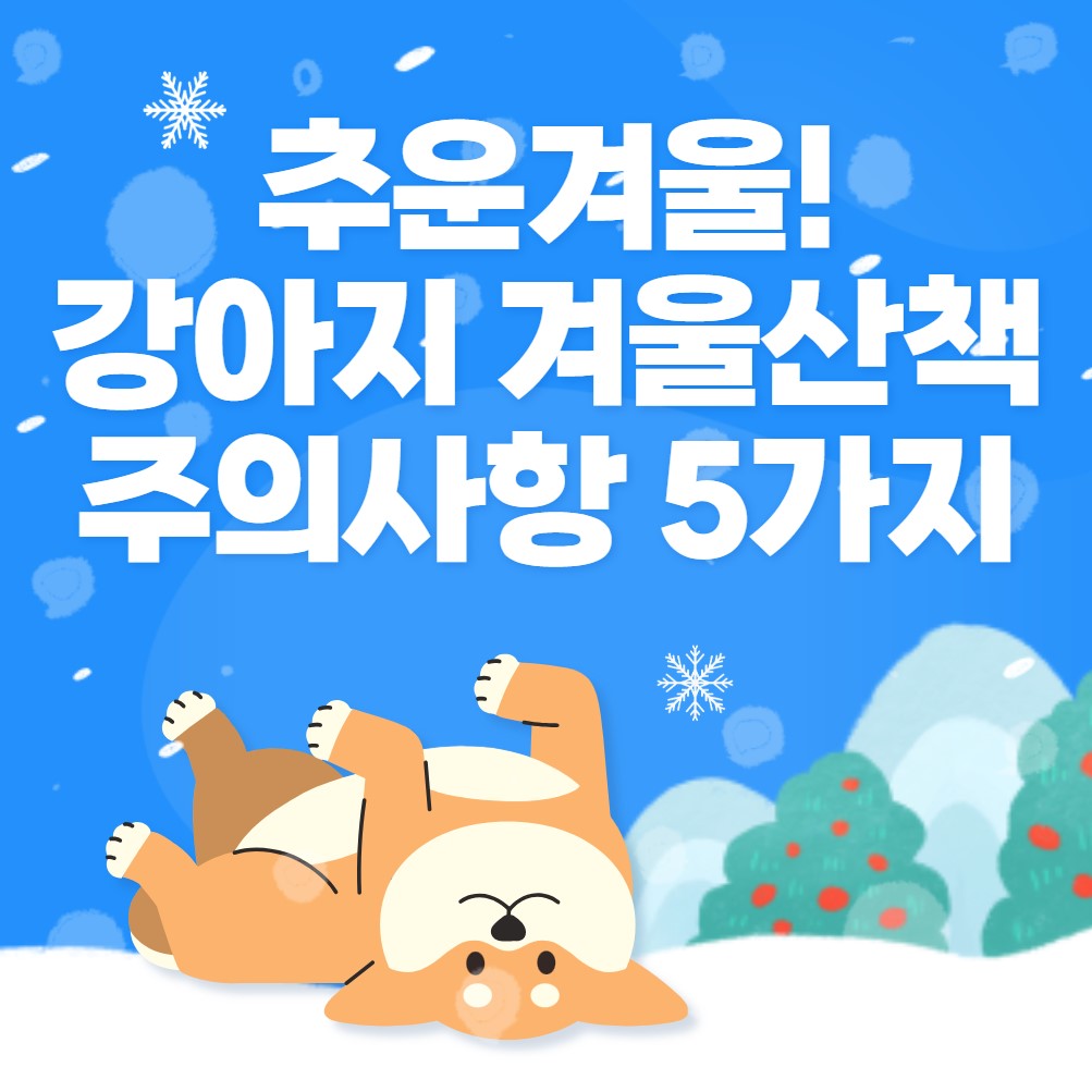 겨울-강아지-산책-주의점