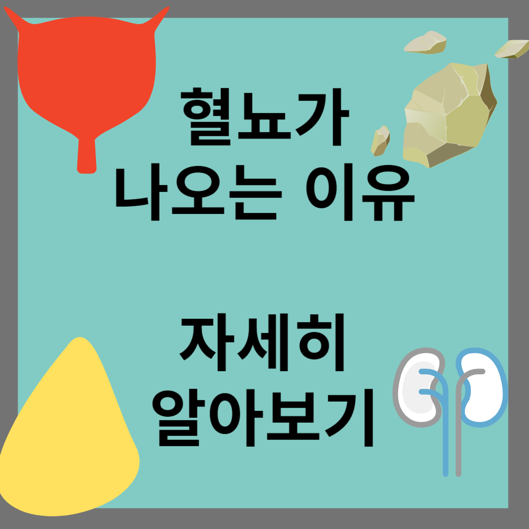 혈뇨가 나오는 이유
