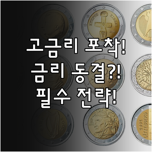기준금리 동결 시나리오 대비 예적금 ..