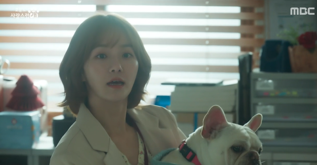 오늘도 사랑스럽개 3회