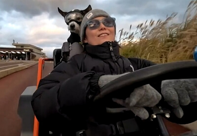 제주 반려동물 동반여행 구팔일 댕댕이 레이싱