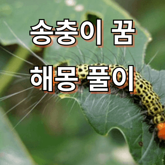 송충이 꿈해몽 풀이