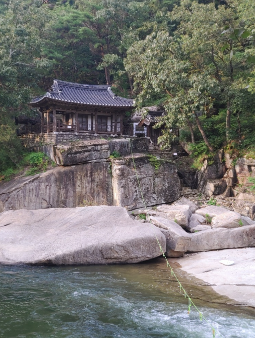 충청북도 여름 여행