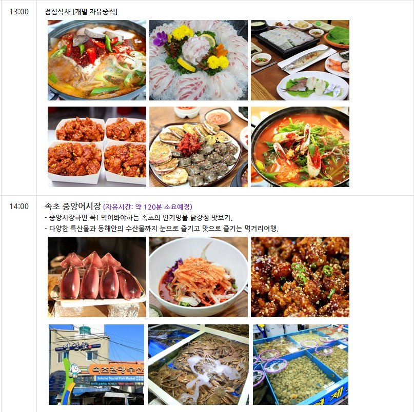 굿모닝여행사 홈페이지 당일치기 여행