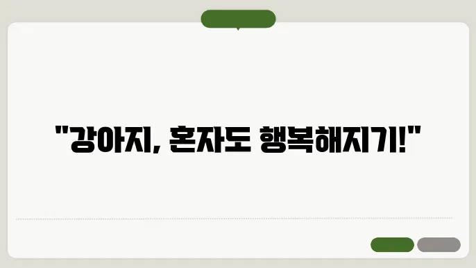강아지 분리불안 해결법 혼자 있어도 안심하는 기술