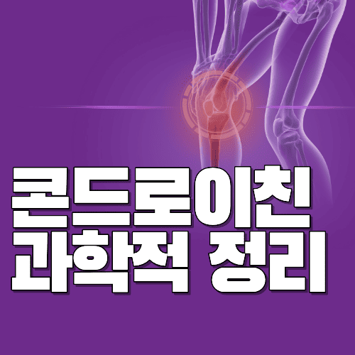 콘드로이친 효능