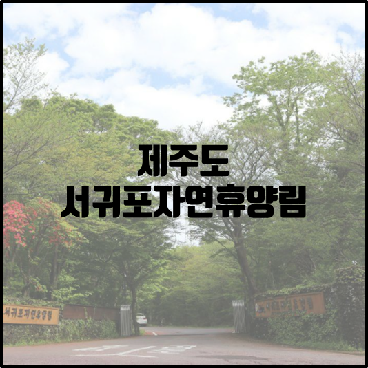 서귀포자연휴양림