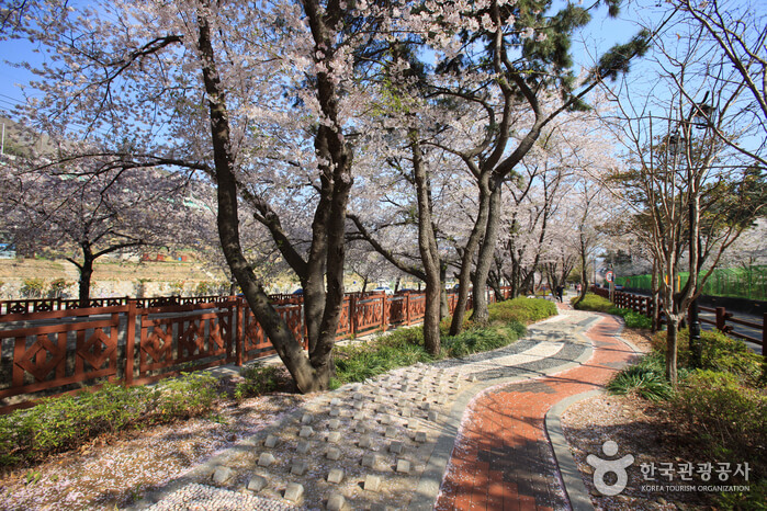 경남 창원 진해 가볼만한 곳 벚꽃 명소 여좌천 볼거리