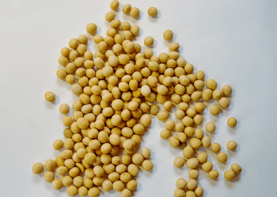 갱년기 여성 필수템: 좋은 음식 6가지