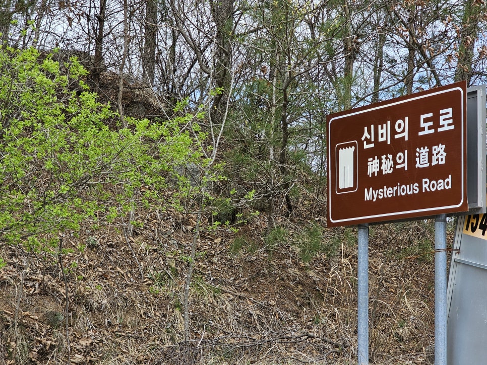 신비의도로