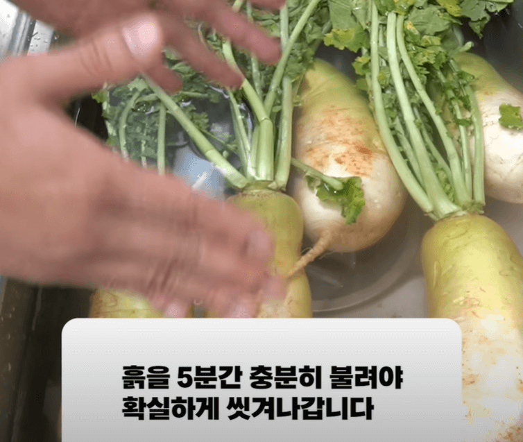 무 씩어주는 방법