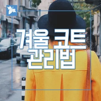 코트 관리 드라이 스팀 옷솔 곰팡이 예방 가이드_2