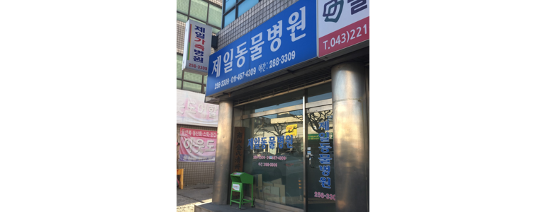 청주 상당구 동물병원