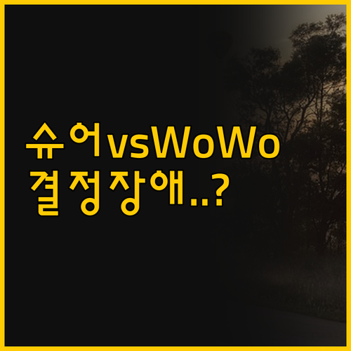 당신의 공간을 지키는 슈어홈과 WoW..