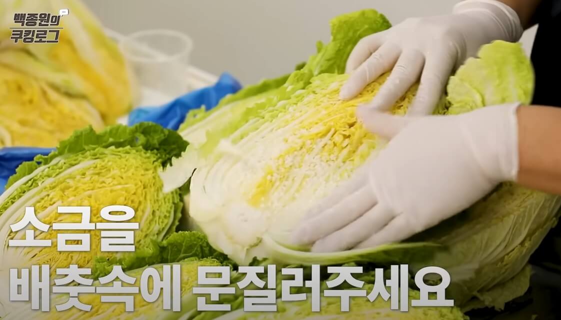 배추손질및절이는방법11