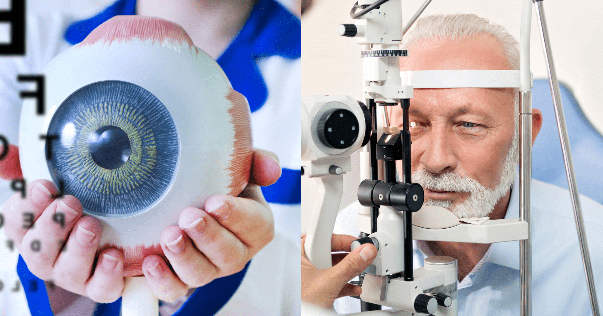 눈알을 든 의사와 시력검사지 그리고 눈검사를 받는 노인 남성
