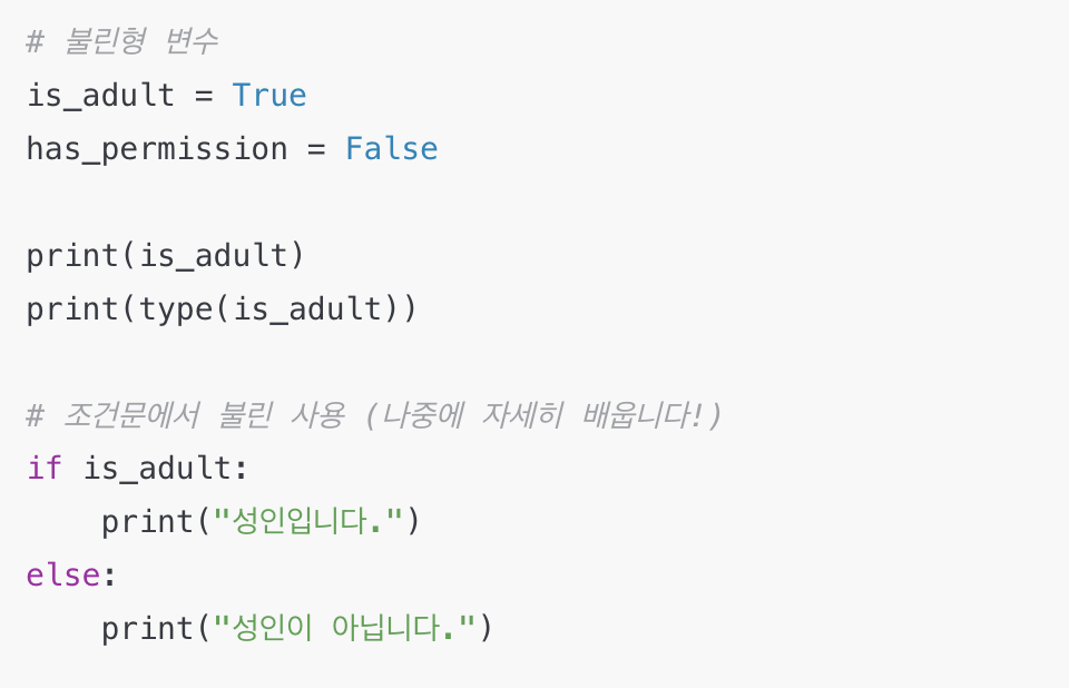 파이썬 불린 자료형 예시