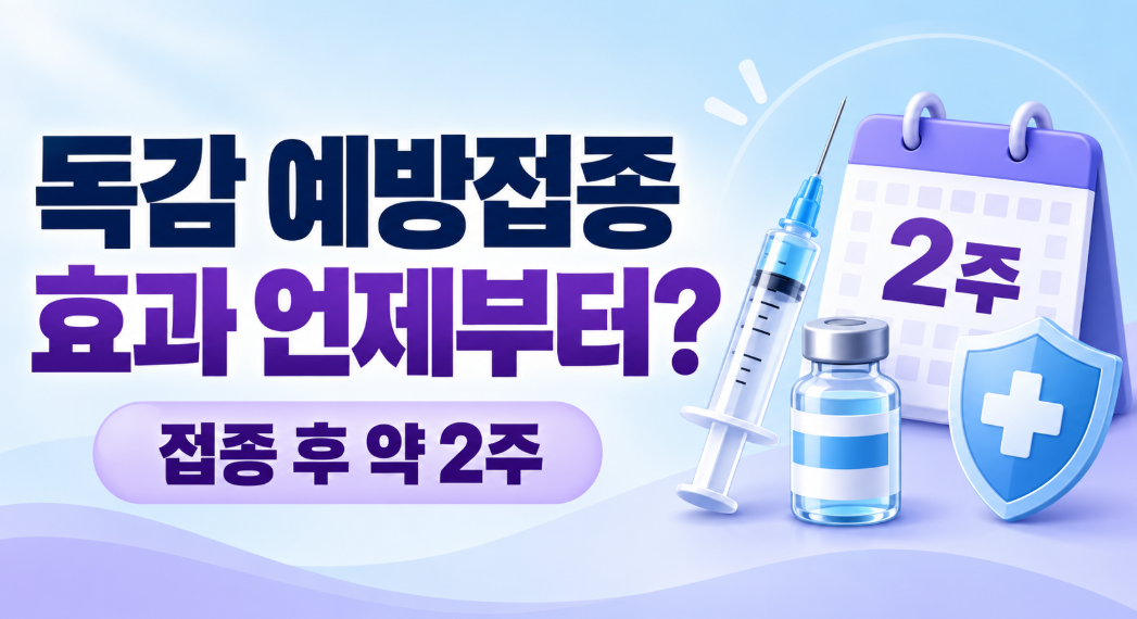 독감 예방접종 효과 언제부터 생길까? 접종 후 ‘2주’가 중요한 이유