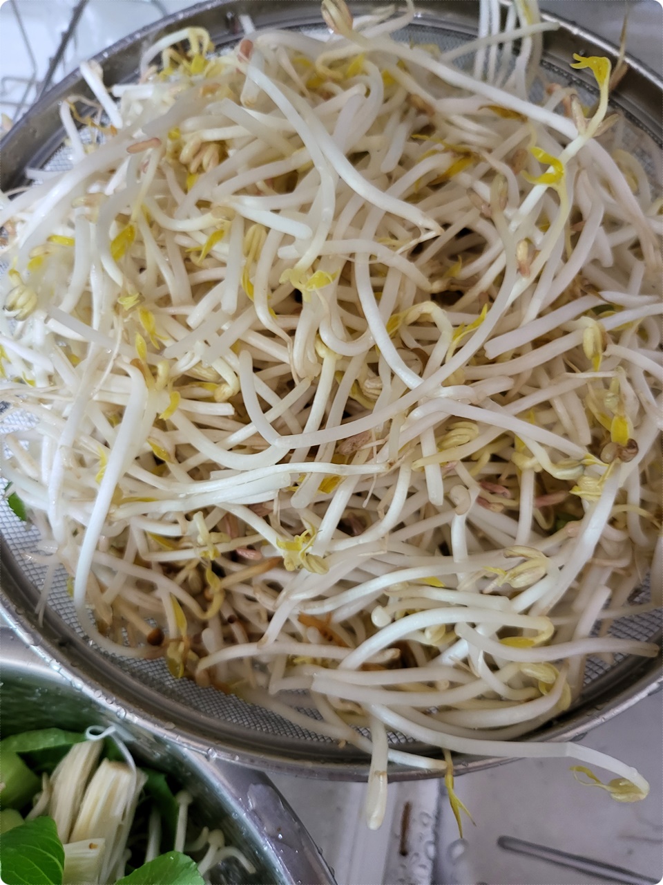 숙주 준비