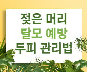 젖은 머리 방치, 탈모 부른다? 탈모 예방 두피 관리법 A to Z