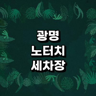 광명시 노터치 세차