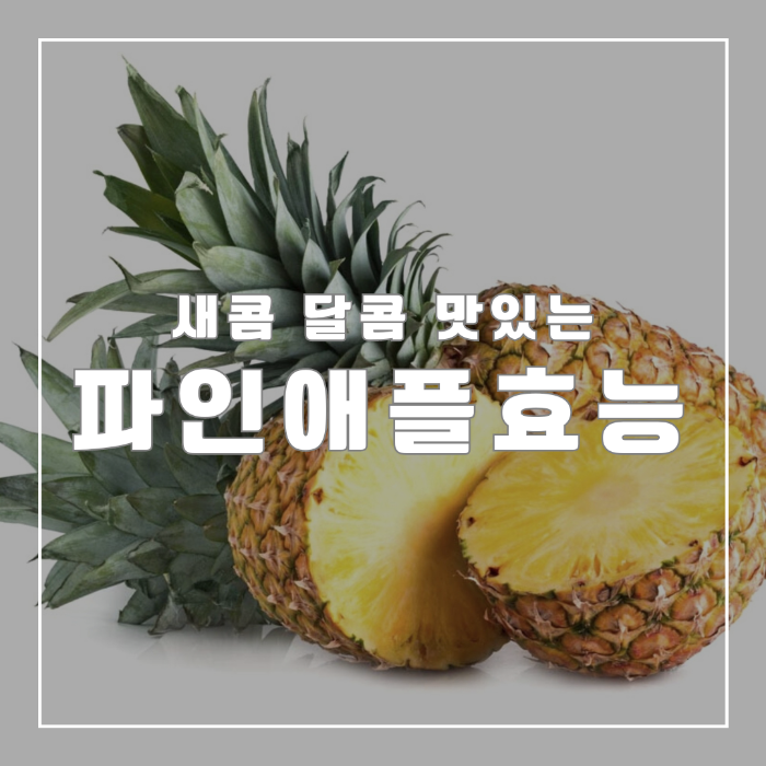 파인애플 효능