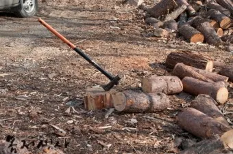 지부작족 뜻 유래 의미 어리석음 고사성어_9