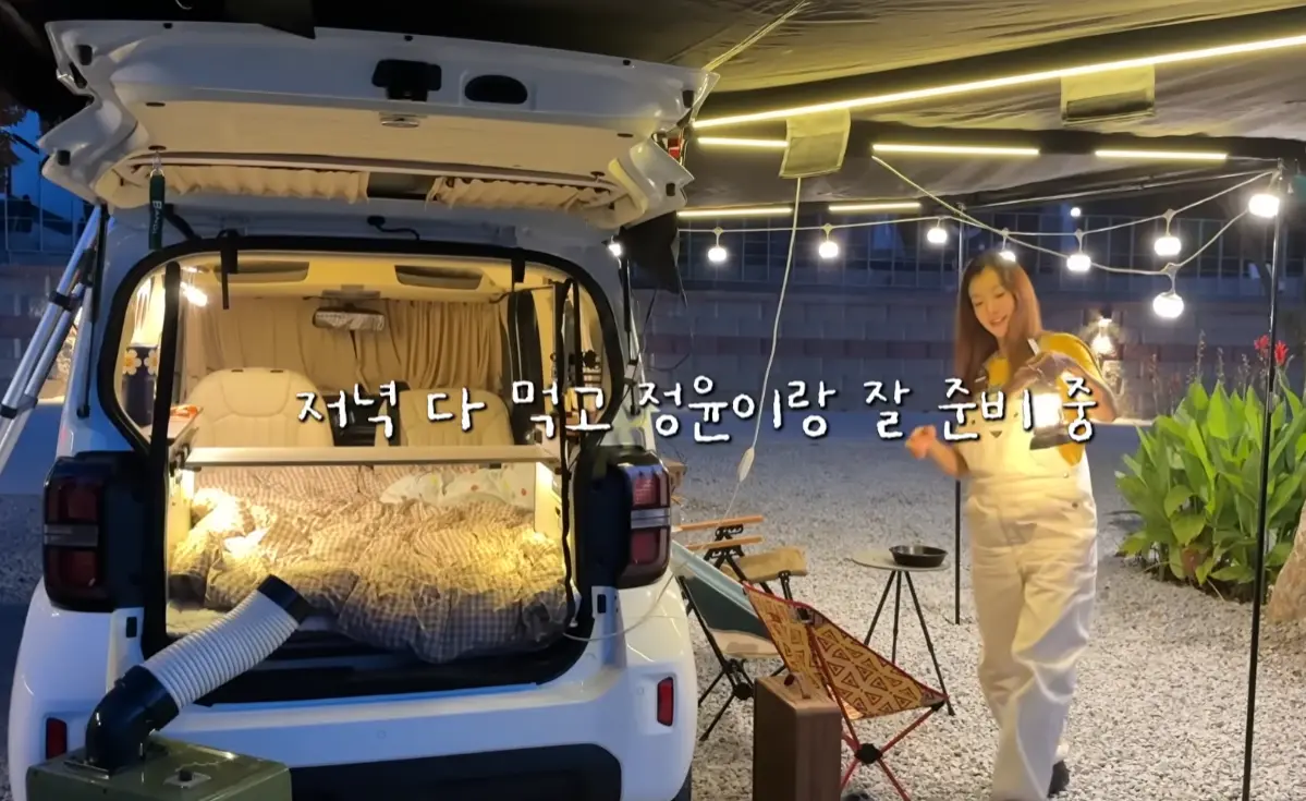 이시영, 레이