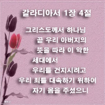 갈라디아서 3장 26절 묵상 - 너희가 다 믿음으로 말미암아 그리스도 예수 안에서 하나님의 아들이 되었으니_22